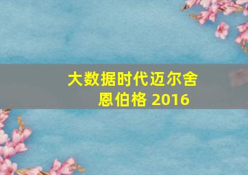 大数据时代迈尔舍恩伯格 2016